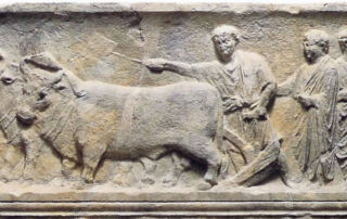 Museo della civiltà contadina