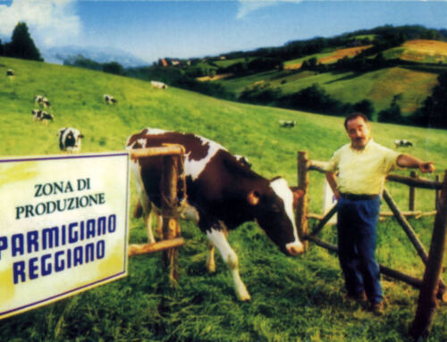 Cartolina pubblicitaria Parmigiano Reggiano – La mucca intrusa – 2000